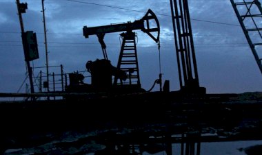 Nijerya'nın kuzeyinde 1 milyar varillik ham petrol keşfedildi