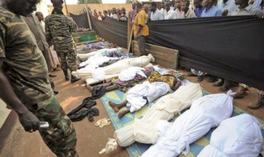 Mali'de Müslaman Fulanilerin köyünde katliam girişimi