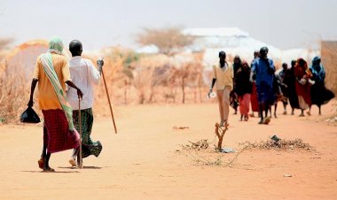 Kuraklıkla boğuşan Zambiya'da 2,3 milyon kişi acil insani yardıma muhtaç