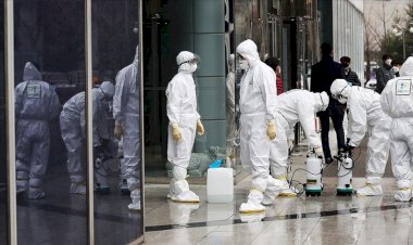 Dünyada Kovid-19 bulaşan kişi sayısı 81 bini aştı