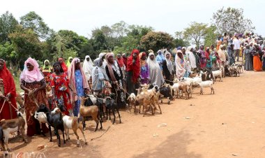 Avrupa Yetim Eli'nden Afrika'da hayvancılığı destekleme projesi