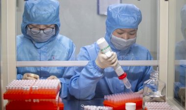 Koronavirüs aşısı: Dünya aşı bulmaya ne kadar yakın?