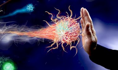 Virüslere karşı bağışıklık sistemi nasıl güçlendirilir?