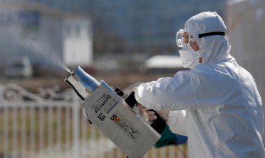 Koronavirüs hangi yüzeyde ne kadar süre hayatta kalıyor?