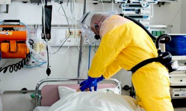 İngiltere'de bir günde 260 kişi hayatını kaybetti