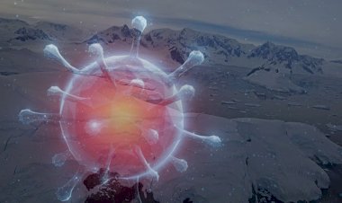 İşte koronavirüsün vurmadığı tek yer