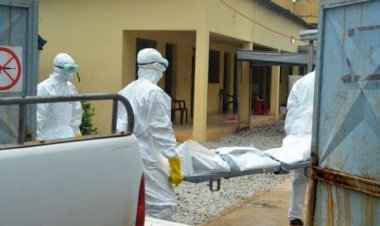 Nijerya'da Lassa ateşinden ölenlerin sayısı 176'ya çıktı