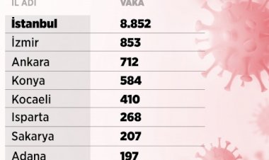 Koronavirüs: Türkiye'de kaç vaka var, illere göre vaka sayısı nedir?