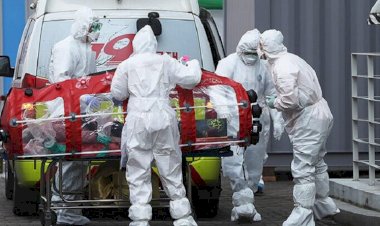 Hollanda'da koronavirüsten ölenlerin sayısı 2 bin 396'ya yükseldi