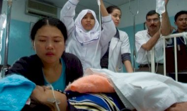 Endonezya’da dang hummasından 254 kişi öldü