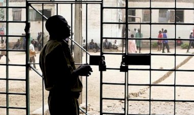 Nijerya'da 2 bini aşkın mahkuma koronavirüs affı