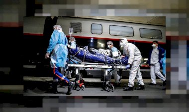 Hollanda'da ölenlerin sayısı 5 bine, Belçika'da ise 8 bine yaklaştı