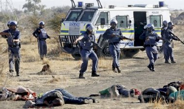 Nijerya'da avcılara silahlı saldırı: 11 ölü