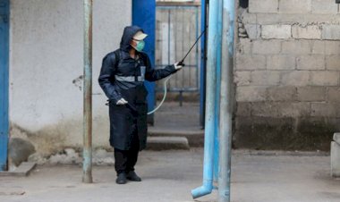 Filistin'de koronavirüse yakalanan kişi sayısı 329'a çıktı