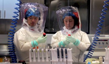 Wuhan'daki laboratuvar şüphelerin odağında